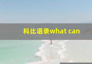 科比语录what can